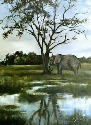 20221209 Landschaft Okavangodelta mit Elefant=30x40.jpg